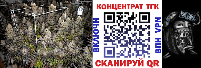 мега как войти  Волгоград  ТГК вейп 