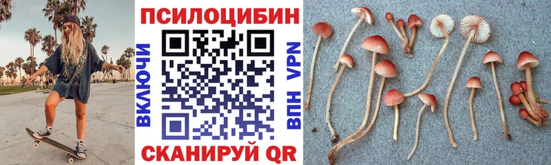 Псилоцибиновые грибы Psilocybe  Волгоград 